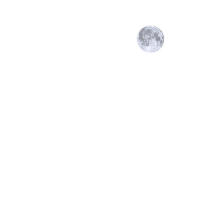 ntrust_moon