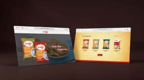 UI/UX Design_Swadgaar